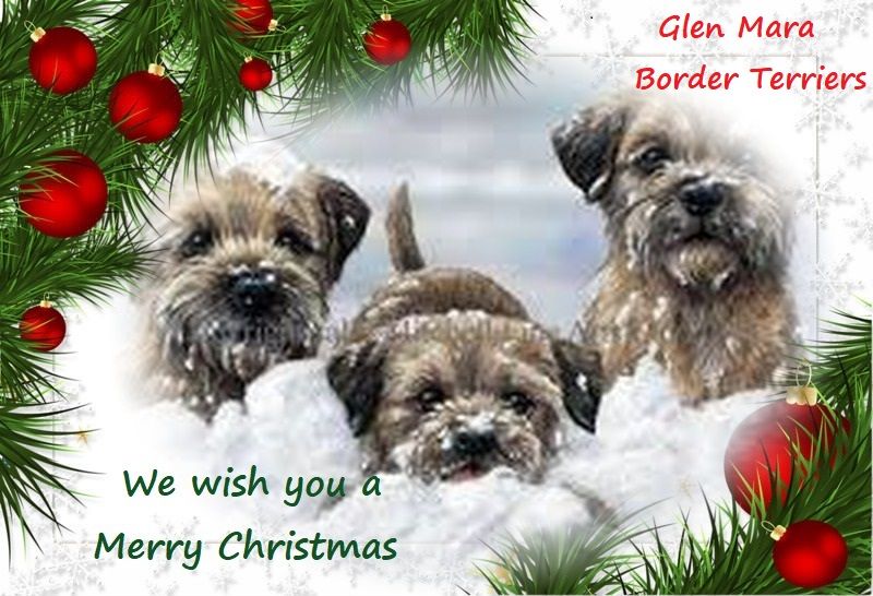 Glen mara - Joyeux Noel à tous 