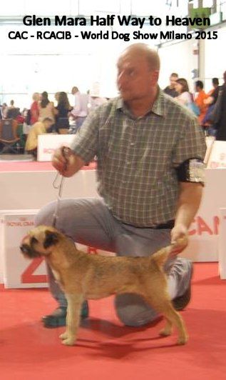 Glen mara - World Dog Show Milan 2015
