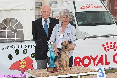 Glen mara - Un Border Terrier BEST IN SHOW à l'exposition de Dieppe