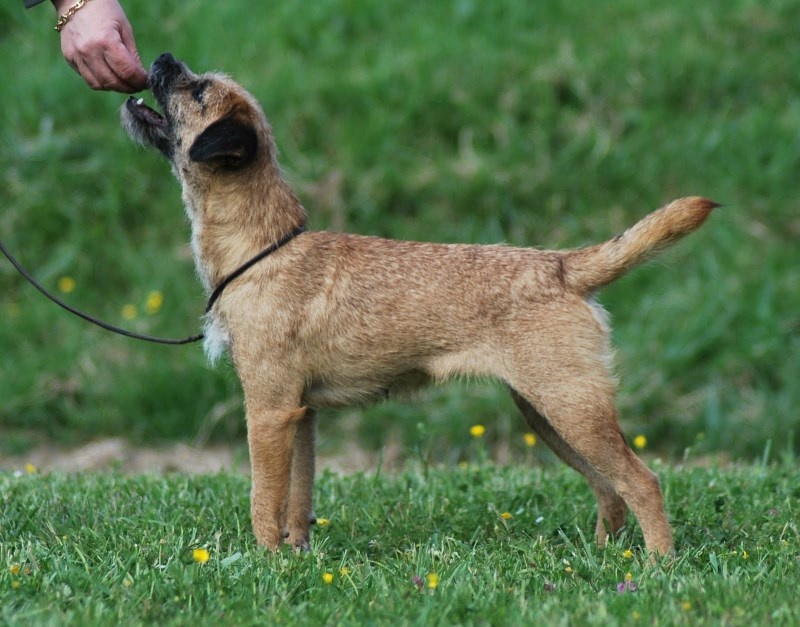 Glen mara Coco chanel