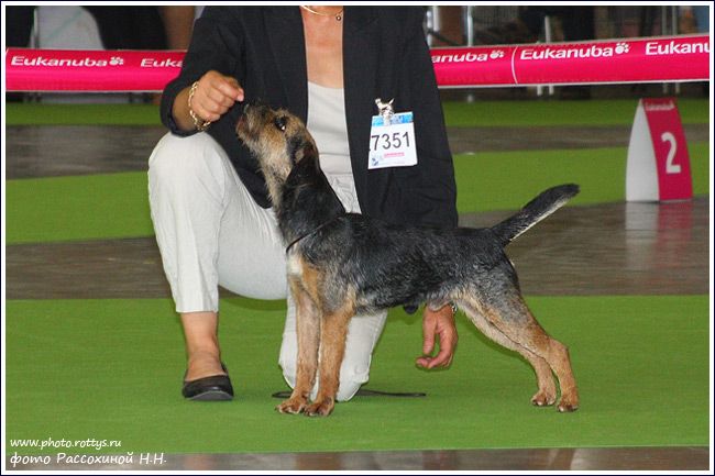 CH. Glen mara Capitaine fracasse